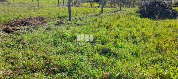 2640m² Land in Amarante, Portugal No. 57441 3
