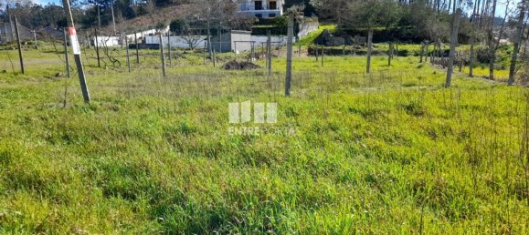 2640m² Land in Amarante, Portugal No. 57441 5