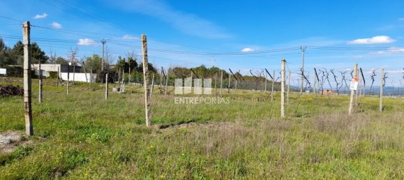 2640m² Land in Amarante, Portugal No. 57441 12