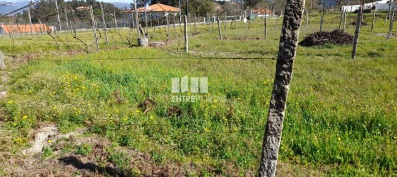 2640m² Land in Amarante, Portugal No. 57441 38