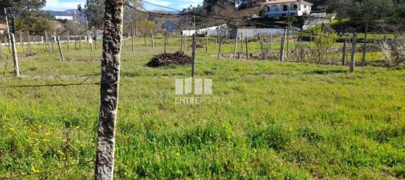 2640m² Land in Amarante, Portugal No. 57441 37