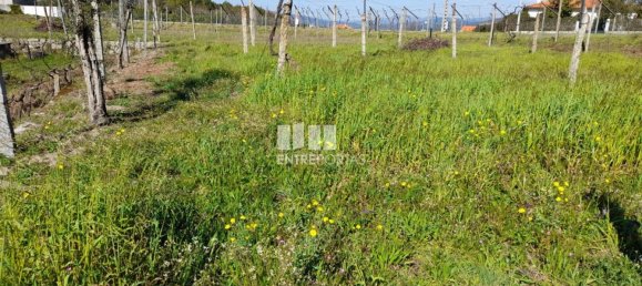 2640m² Land in Amarante, Portugal No. 57441 28