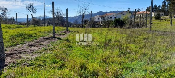 2640m² Land in Amarante, Portugal No. 57441 9