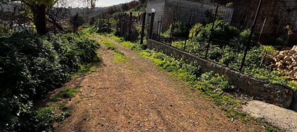 Grundstück in Palermo, Italy 8900m², Nr. 159986 5