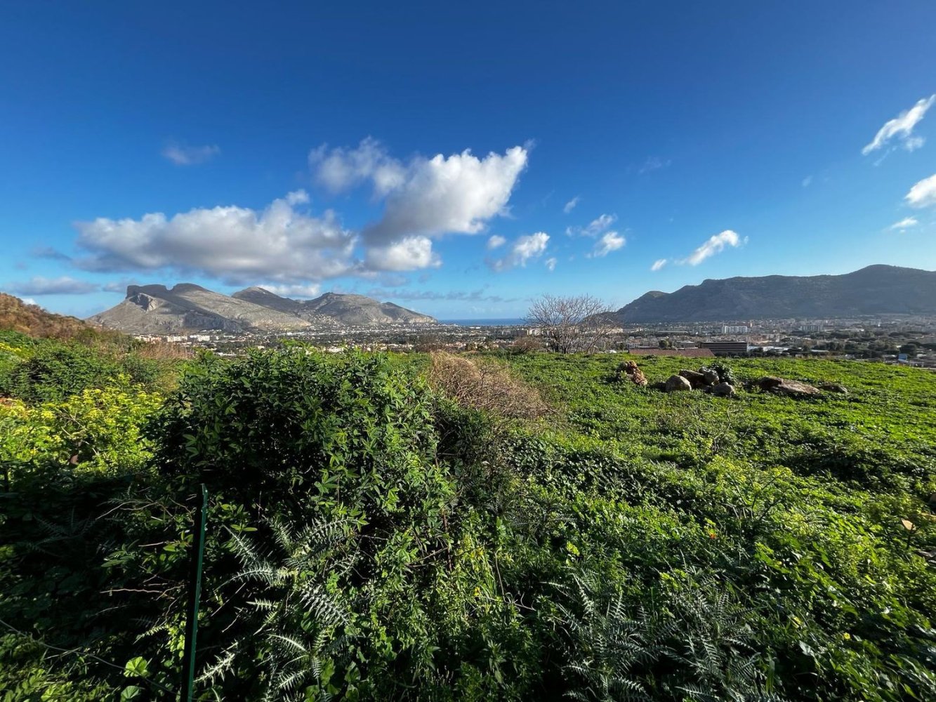 Grundstück in Palermo, Italy 8900m², Nr. 159986