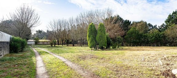 Armazém em Febres, Portugal 789 m² N.º 22469 11