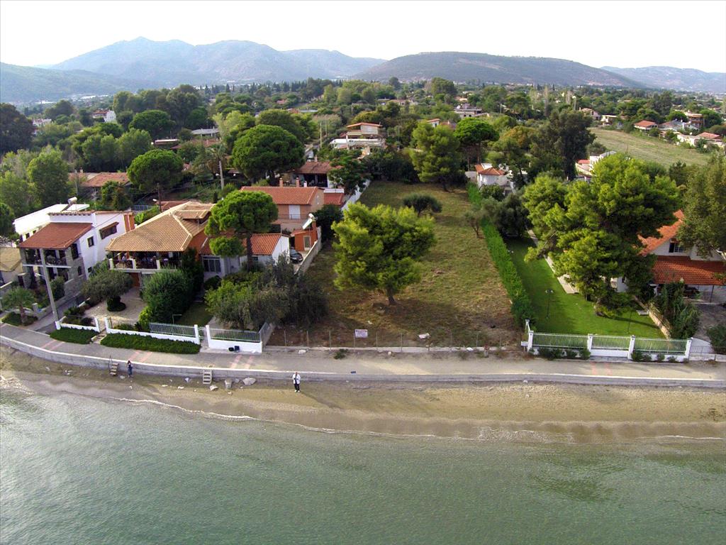 1409m² Hotel in Marathon, Greece No. 6249