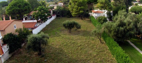 1409m² Hotel in Marathon, Greece No. 6249 6