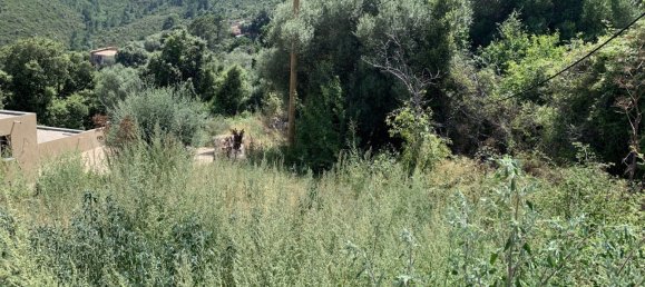 Terreno em Conca, France 616 m² N.º 90390 4