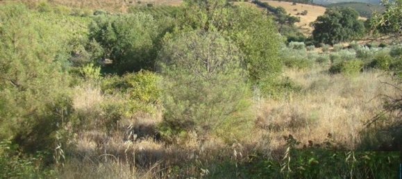 1 غرف نوم منزل في Sao Joao da Pesqueira, Portugal رقم 181469 7