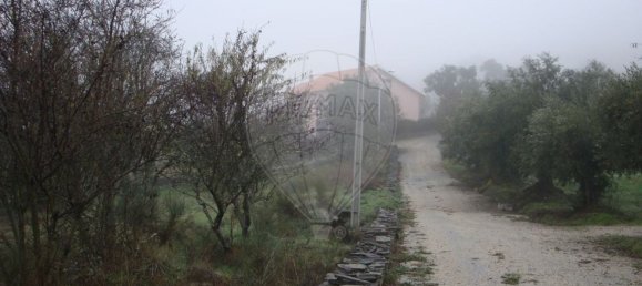 1 غرف نوم منزل في Sao Joao da Pesqueira, Portugal رقم 181469 6