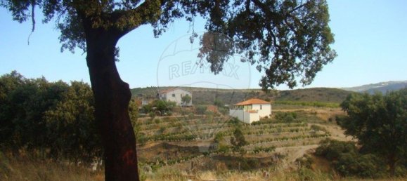 1 غرف نوم منزل في Sao Joao da Pesqueira, Portugal رقم 181469 3