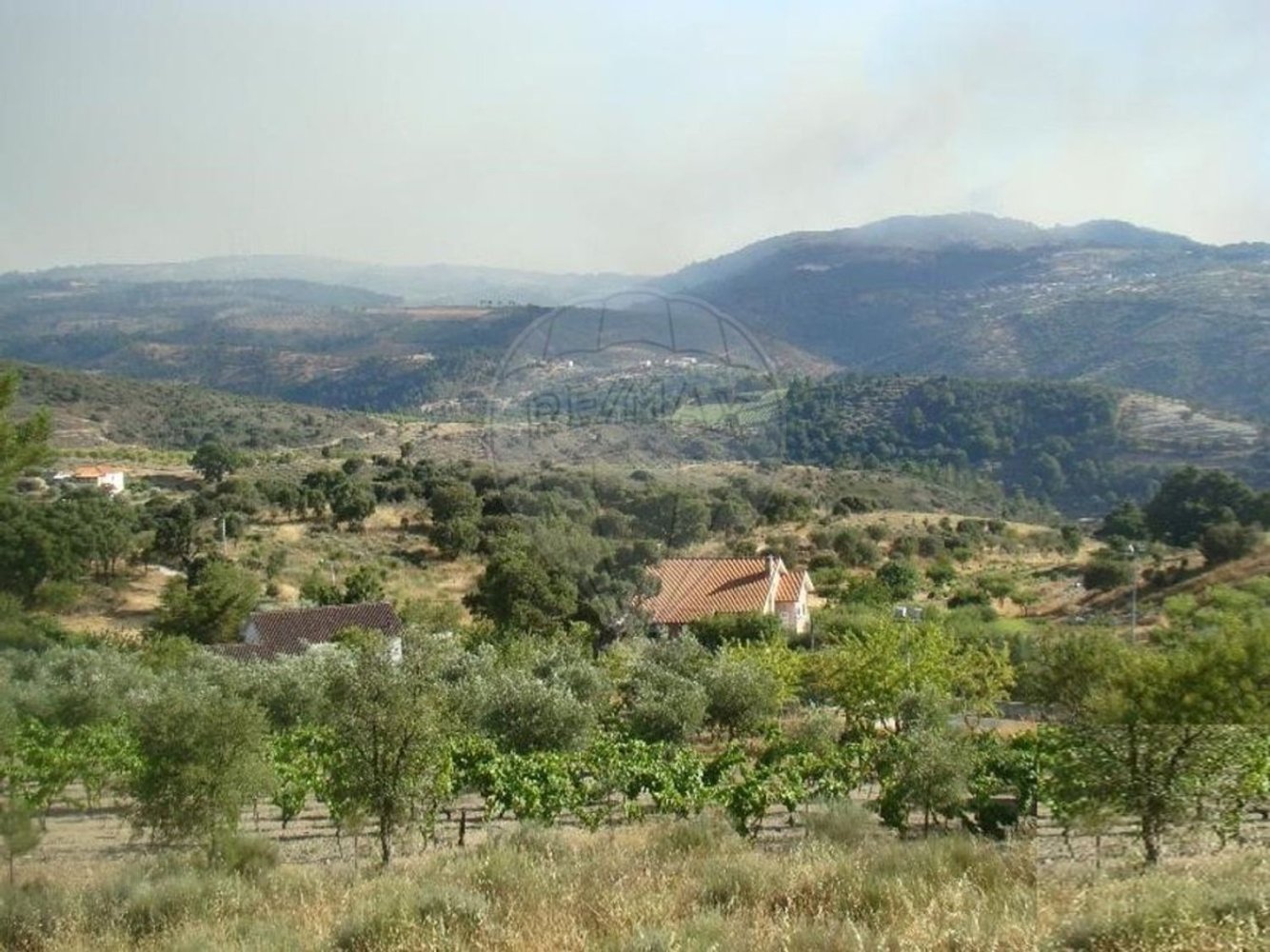 1 غرف نوم منزل في Sao Joao da Pesqueira, Portugal رقم 181469