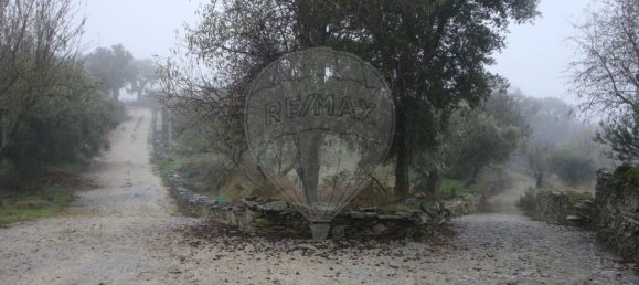 1 غرف نوم منزل في Sao Joao da Pesqueira, Portugal رقم 181469 4