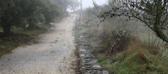 1 غرف نوم منزل في Sao Joao da Pesqueira, Portugal رقم 181469 5