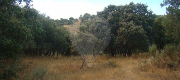 1 غرف نوم منزل في Sao Joao da Pesqueira, Portugal رقم 181469 2