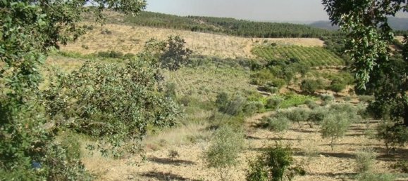 1 غرف نوم منزل في Sao Joao da Pesqueira, Portugal رقم 181469 8