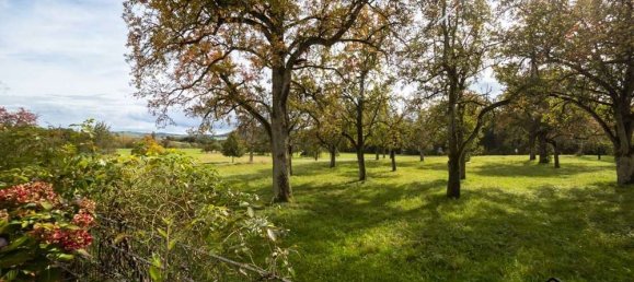 3 chambres Maison à Konstanz, Germany No. 63194 10