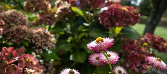 3 chambres Maison à Konstanz, Germany No. 63194 7