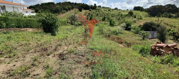 Земельный участок 10000м² в Бомбаррал, Португалия № 64130 6
