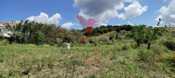 Земельный участок 10000м² в Бомбаррал, Португалия № 64130 4