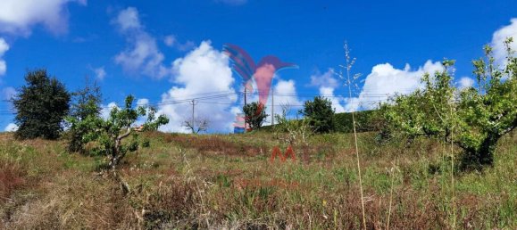 Земельный участок 10000м² в Бомбаррал, Португалия № 64130 17