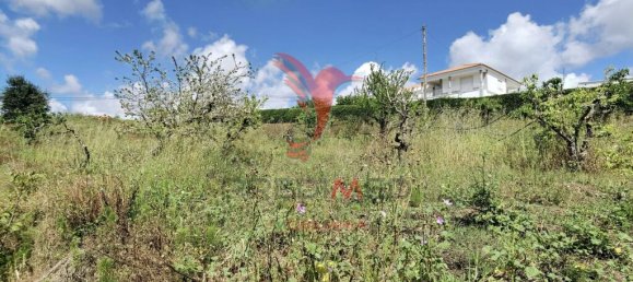 Земельный участок 10000м² в Бомбаррал, Португалия № 64130 15