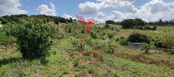 Земельный участок 10000м² в Бомбаррал, Португалия № 64130 7