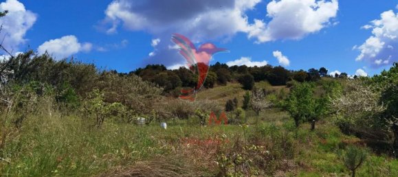 Земельный участок 10000м² в Бомбаррал, Португалия № 64130 16