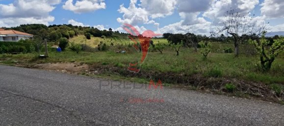 Земельный участок 10000м² в Бомбаррал, Португалия № 64130 2