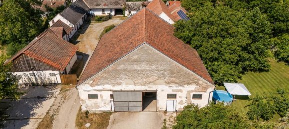 6-Zimmer Haus in Enzesfeld-Lindabrunn, Austria, Nr. 195577 12