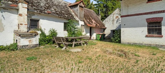 6-Zimmer Haus in Enzesfeld-Lindabrunn, Austria, Nr. 195577 42