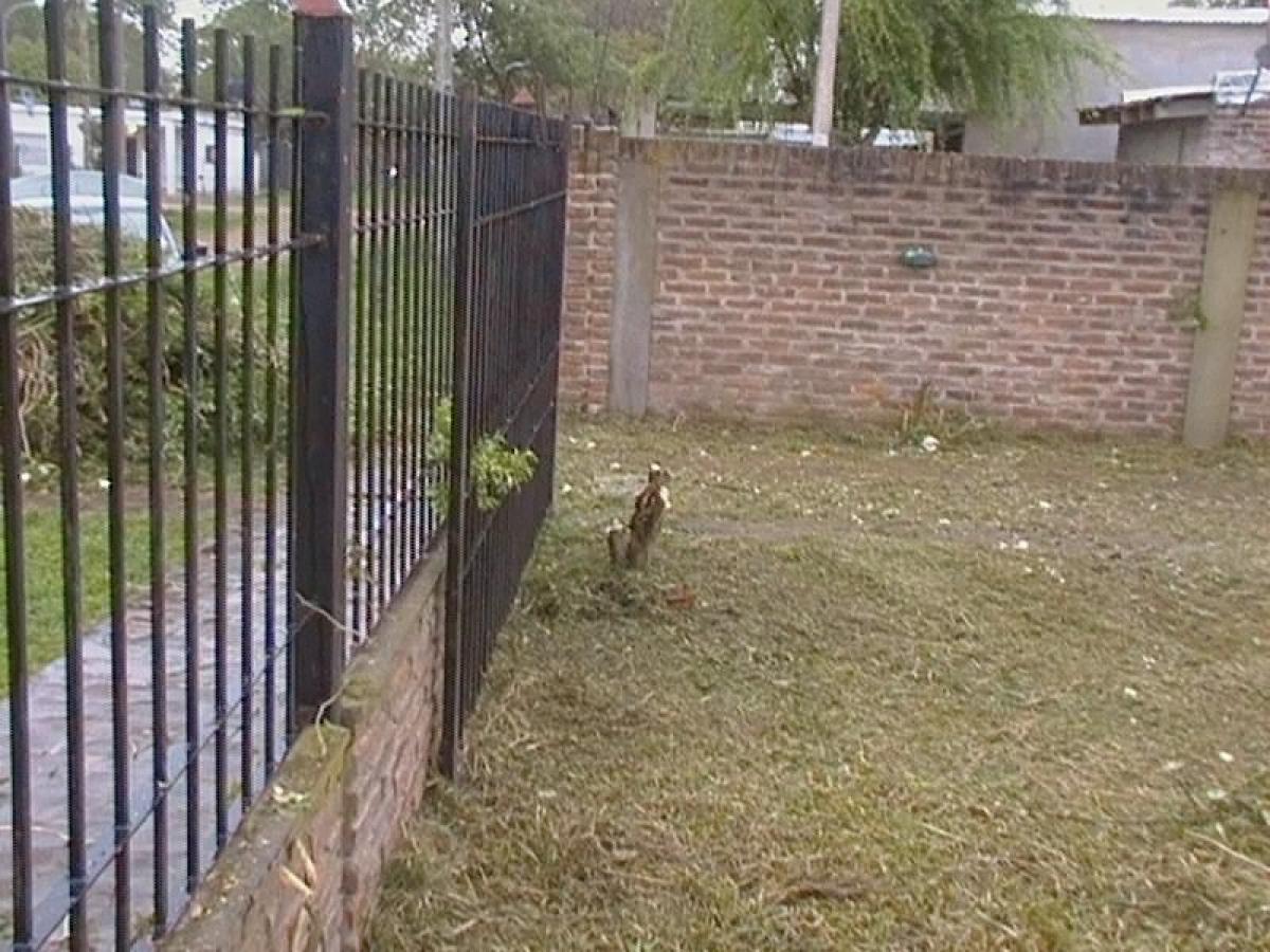  Land in Ezeiza, Argentina No. 35835