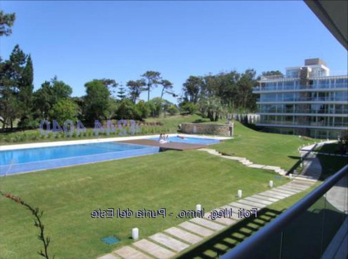 Studio à Punta del Este, Uruguay No. 7406