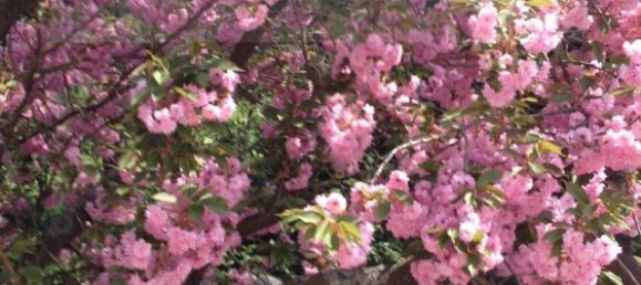 3 bedrooms Townhouse in Duren, Germany No. 354465 19