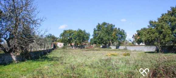 Grundstück in Seixo da Beira, Portugal, Nr. 73969 7