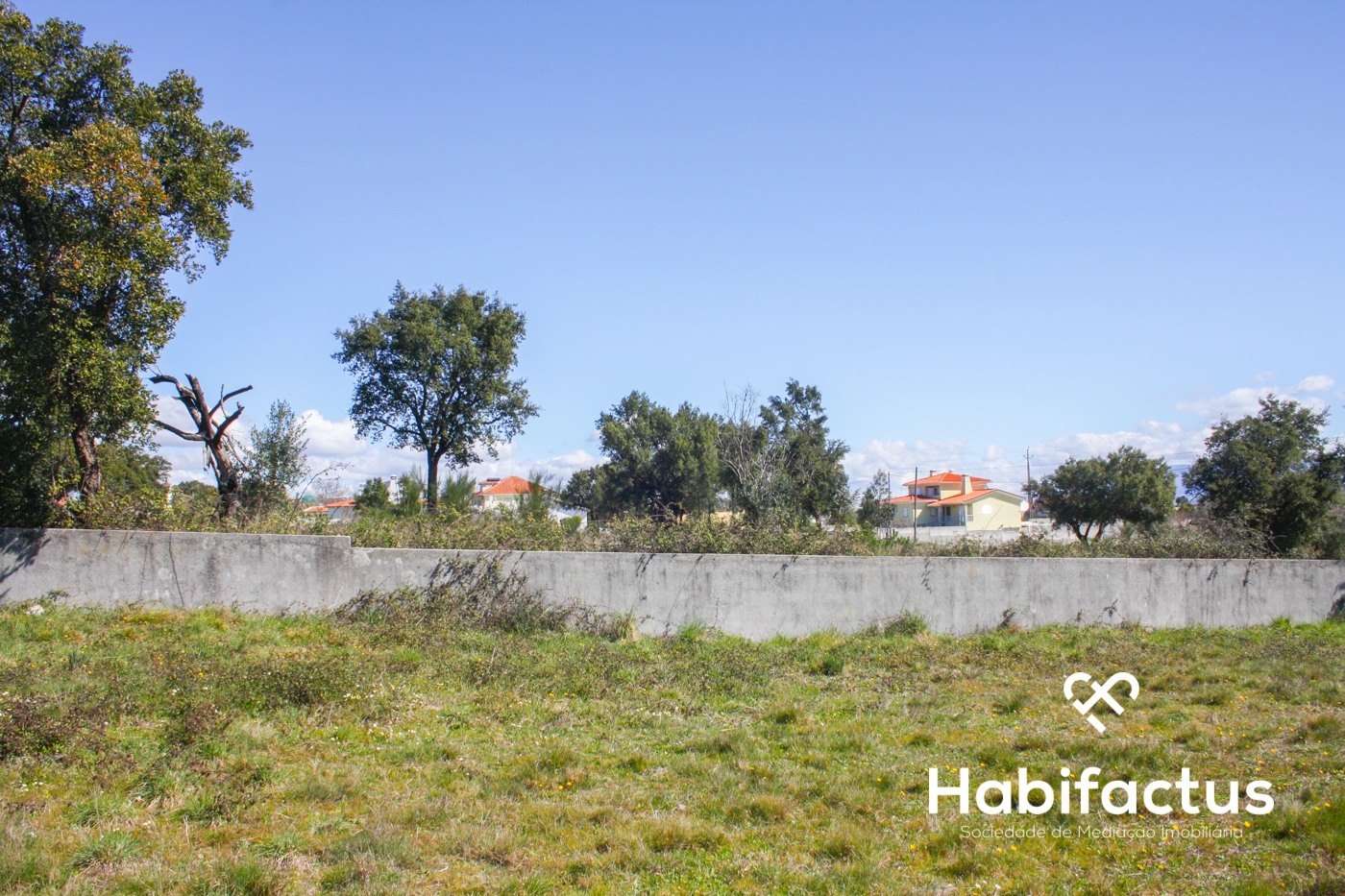 Grundstück in Seixo da Beira, Portugal, Nr. 73969