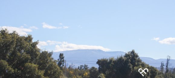 Grundstück in Seixo da Beira, Portugal, Nr. 73969 2