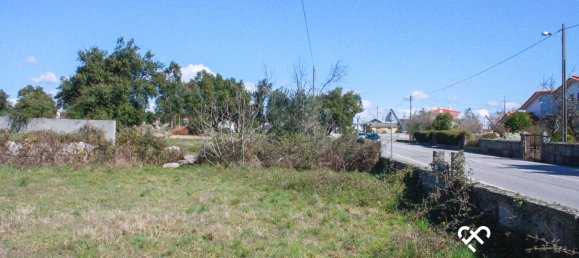 Grundstück in Seixo da Beira, Portugal, Nr. 73969 5