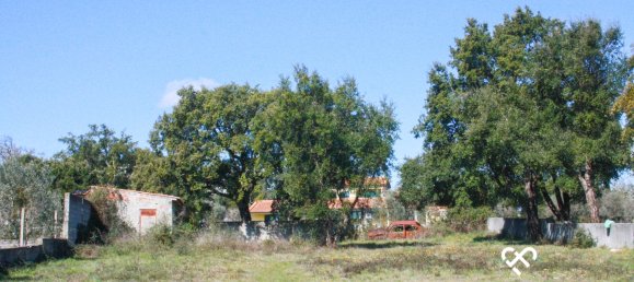 Grundstück in Seixo da Beira, Portugal, Nr. 73969 8