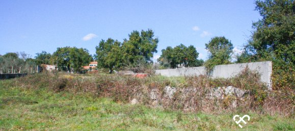 Grundstück in Seixo da Beira, Portugal, Nr. 73969 6