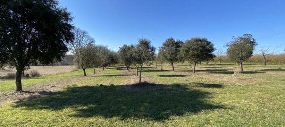 4 Schlafzimmer Schlösser in Monflanquin, France, Nr. 310266 5