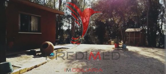 2 Schlafzimmer Haus in Santarem, Portugal, Nr. 57339 12