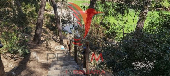 2 Schlafzimmer Haus in Santarem, Portugal, Nr. 57339 20