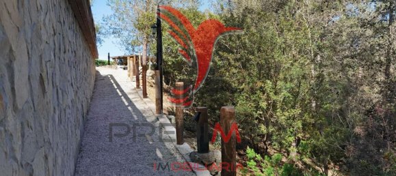 2 Schlafzimmer Haus in Santarem, Portugal, Nr. 57339 17