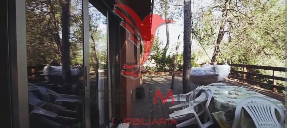 2 Schlafzimmer Haus in Santarem, Portugal, Nr. 57339 11