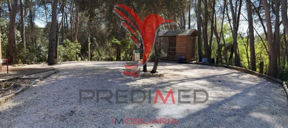 2 Schlafzimmer Haus in Santarem, Portugal, Nr. 57339 13