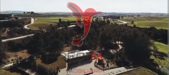 2 Schlafzimmer Haus in Santarem, Portugal, Nr. 57339 3