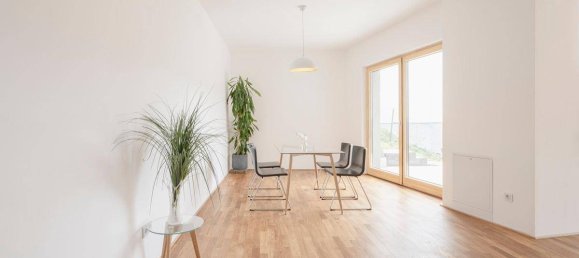 5 bedrooms Villa in Klosterneuburg, Austria No. 249497 12