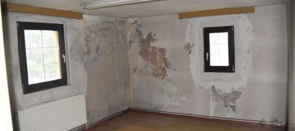 10-Zimmer Bauernhof in Zwickau, Germany, Nr. 233879 14